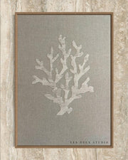 Coral