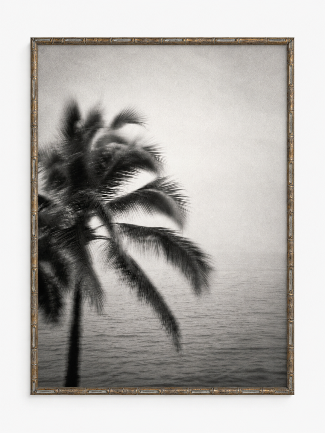 Palme