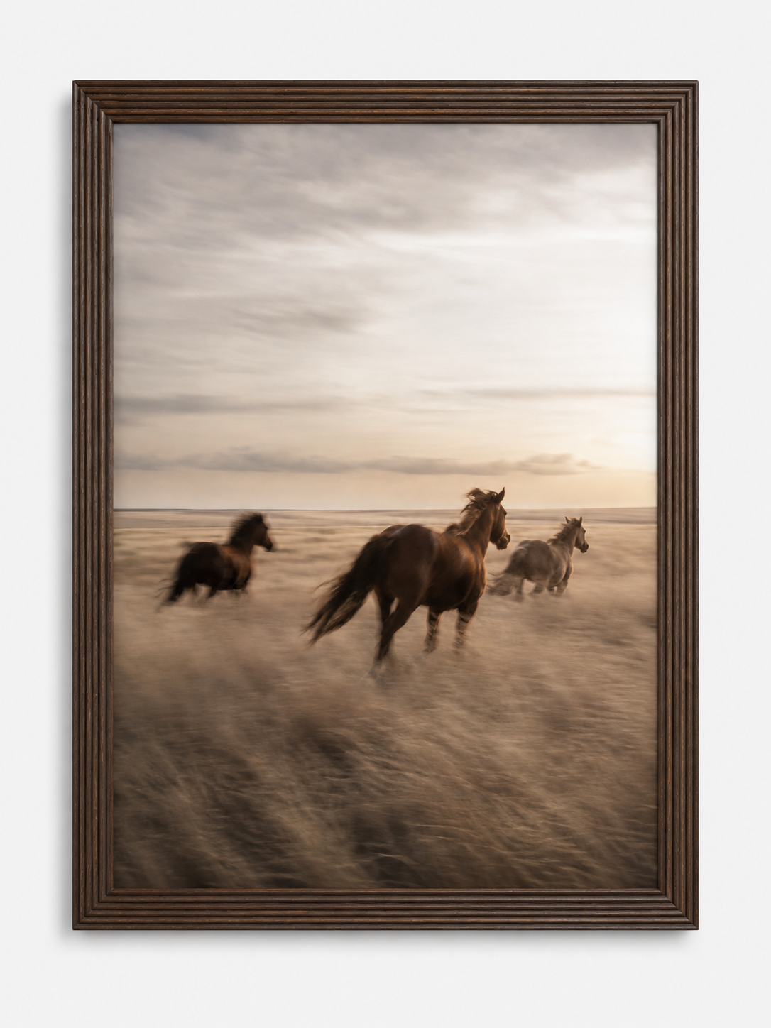 Galop